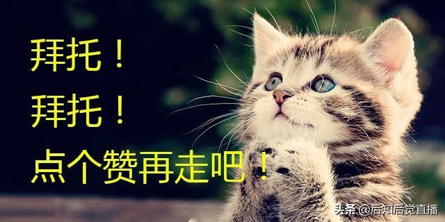 股票如何做短线交易视频,期货短线高手谈日内短线操作技巧