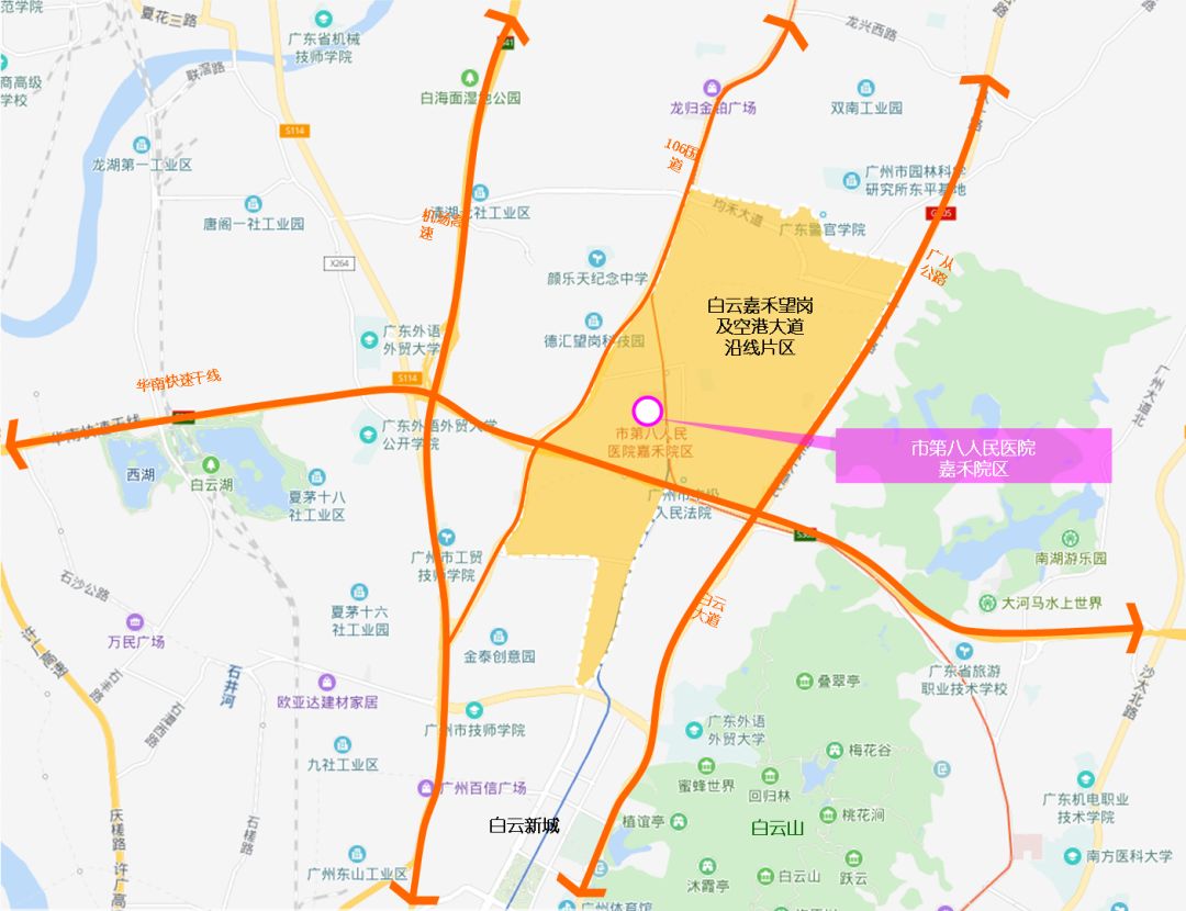 金沙洲癌症医院国际癌症中心,金沙洲国际癌症医疗中心