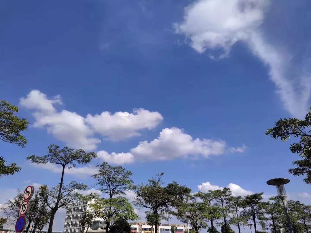 广东第二师范学院数学系,广东第二师范学院分数线