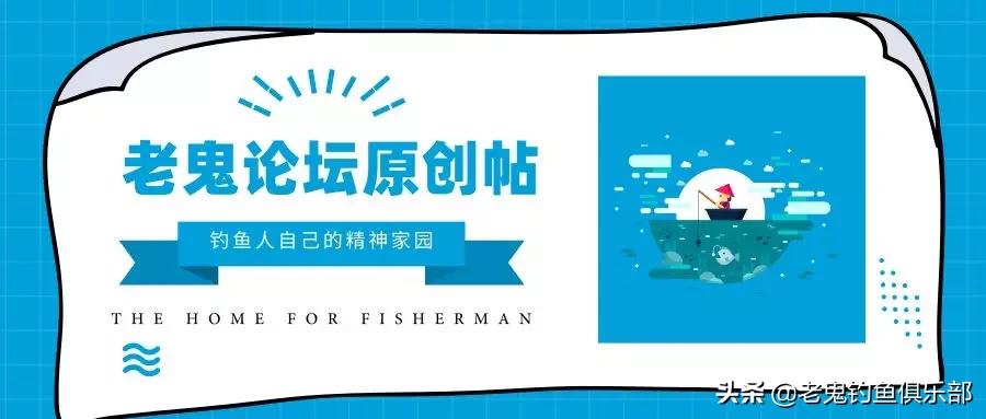 单开红虫,单开红虫拉饵
