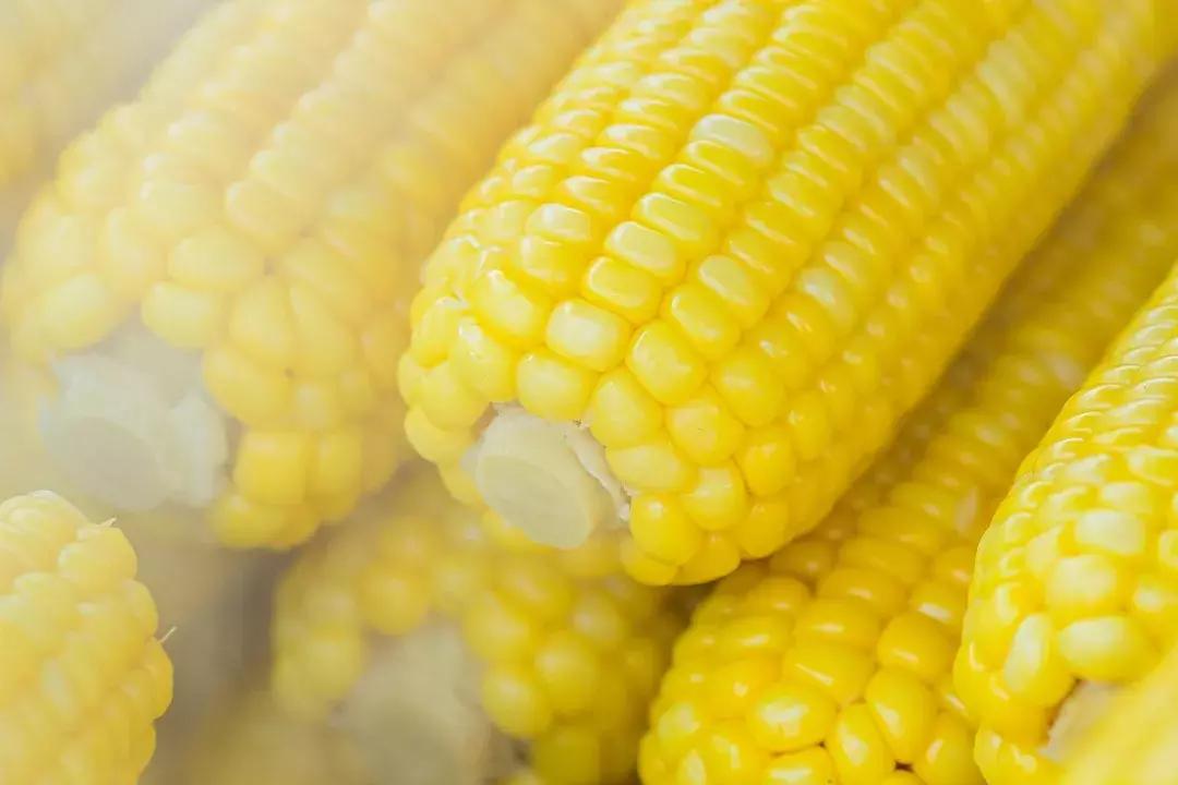 不吃主食减肥的你请看过来,不吃主食的减肥方式你还在坚持吗