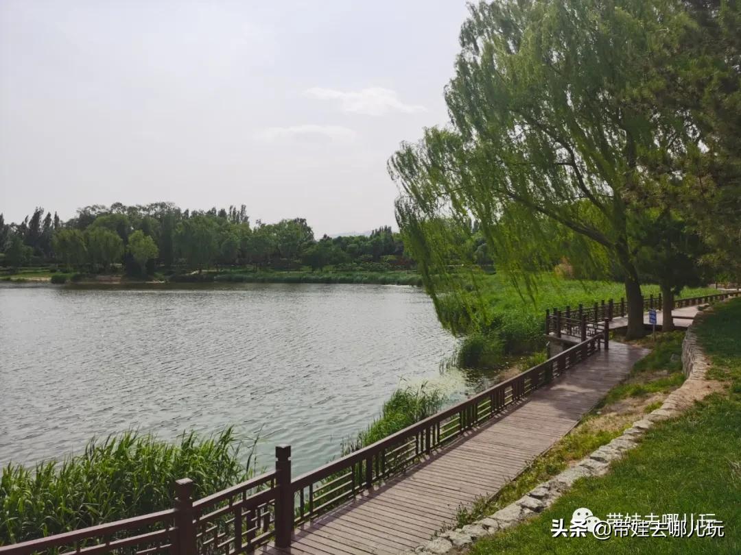 北京油菜花梯田,北京附近的油菜花景点在哪里