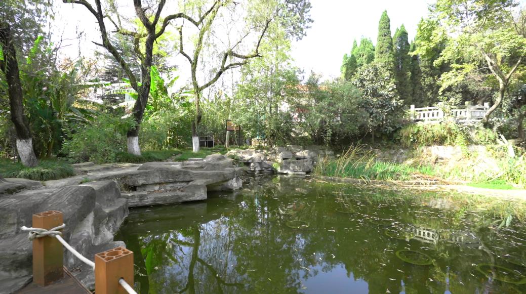 寻找城市的记忆,寻找城市记忆贵阳