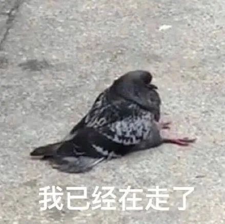 点评赚钱的方法,点评如何运营