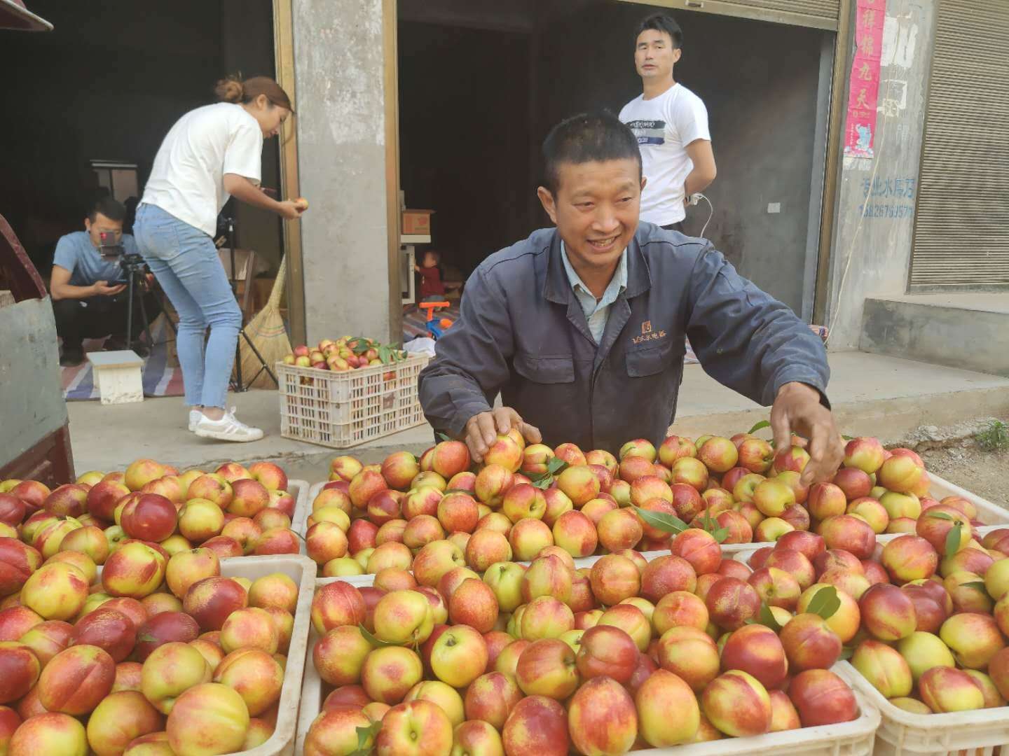 油桃大量上市，一斤多少钱？农民大爷咋说？