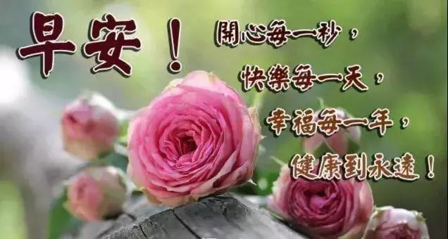 看淡一切善待自己早上好,早上好看淡繁华用心生活