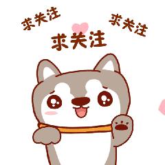 国产光刻机的希望,上海微电子首台国产smee光刻机