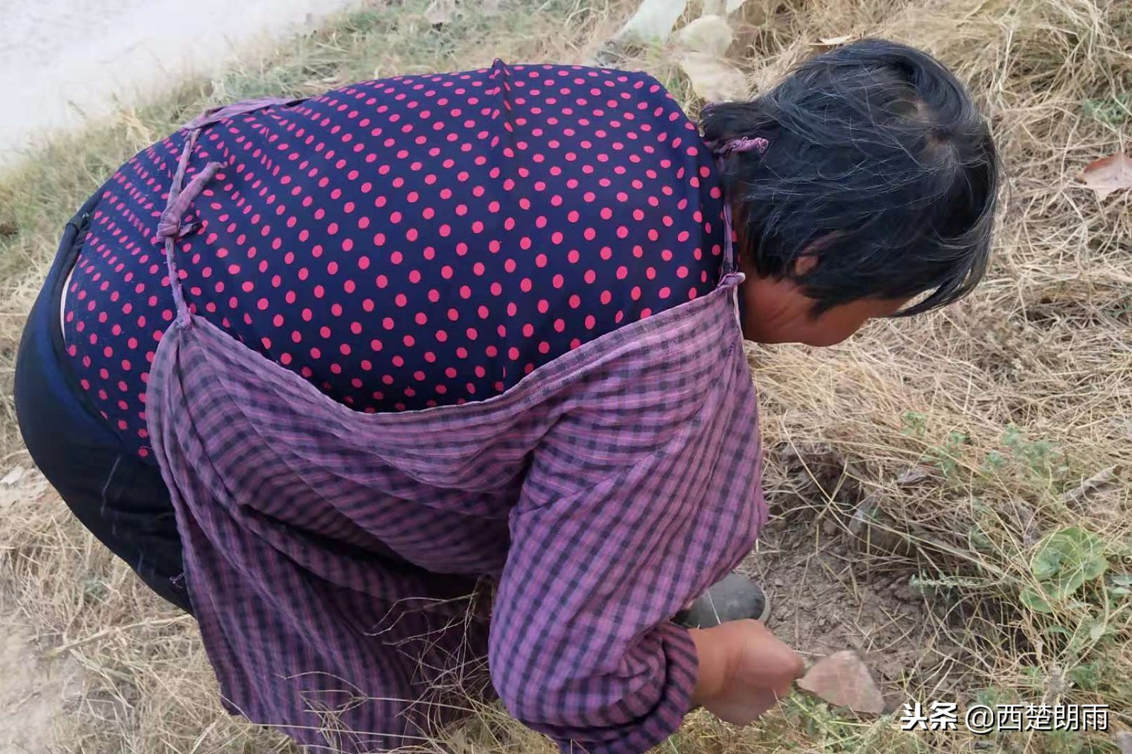 老人双手磨破捉虫想“救”血癌孙被儿子泪拒，跪求老天放过孩子