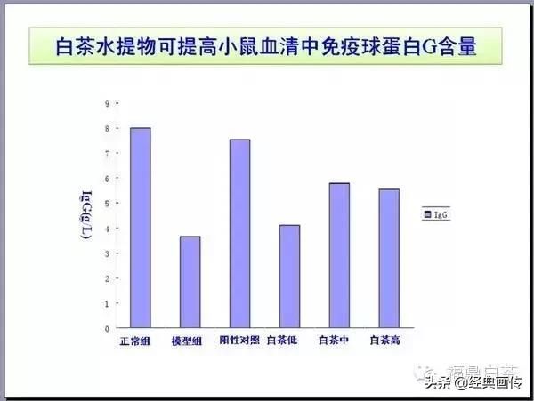 刘仲华白茶功效,刘仲华谈福鼎白茶