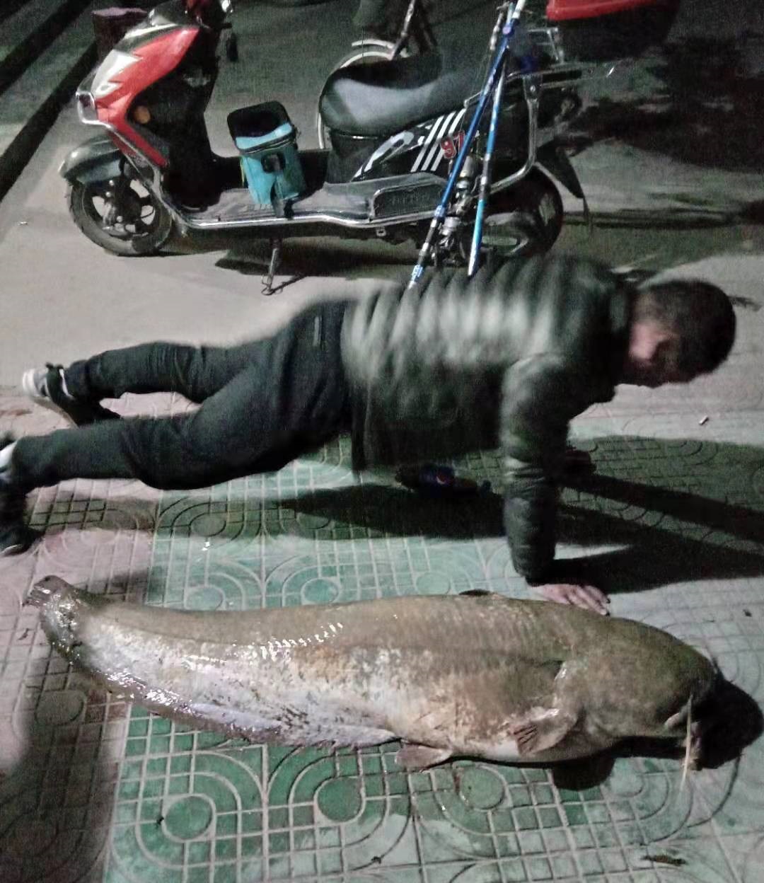 怎么钓鲶鱼，大口鲶，江鲶，鲶巴郎，鲶胡子