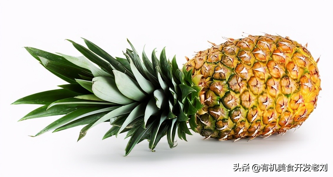 怎样挑选凤梨最好吃,凤梨怎么挑选才是正确的