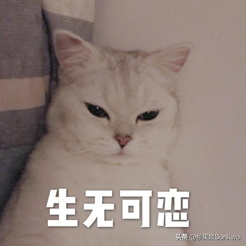 我有张黑卡，看你天赋异禀，封号的风险就给你背了