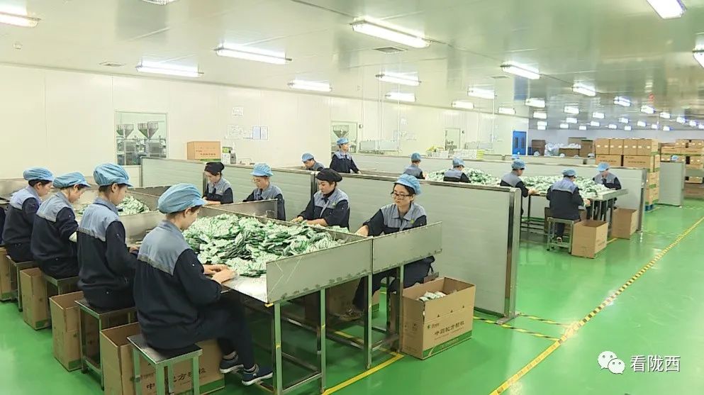 「奋斗十四五奋进新征程」陇西一方制药：中医药品质建设的新高地