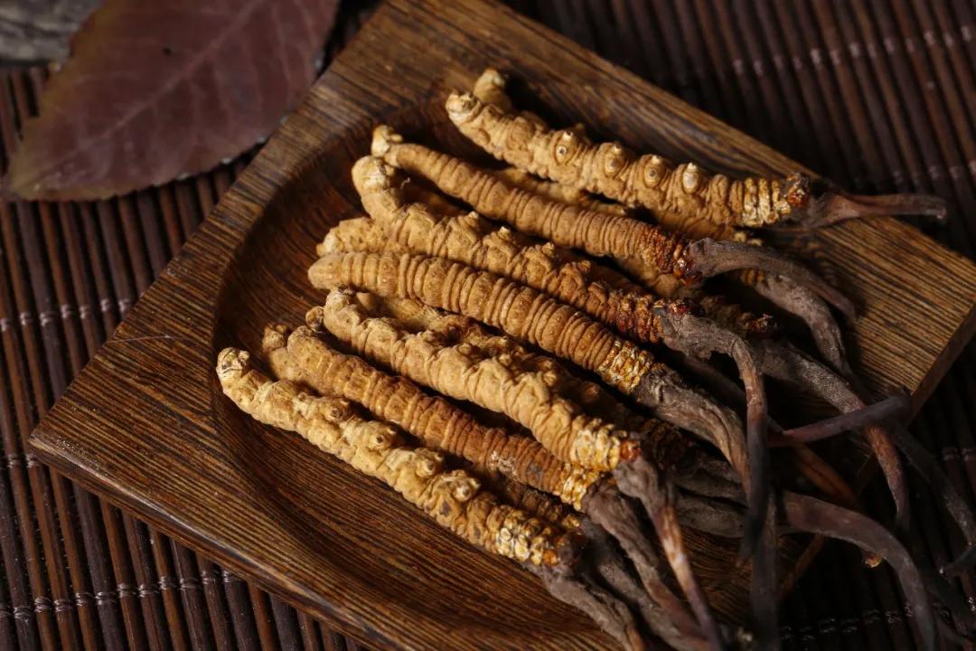 冬虫夏草怎么保存,鲜冬虫夏草的保存方法