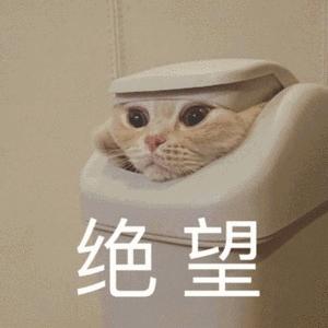 2019届毕业生平均薪资,应届毕业生工资低怎么办