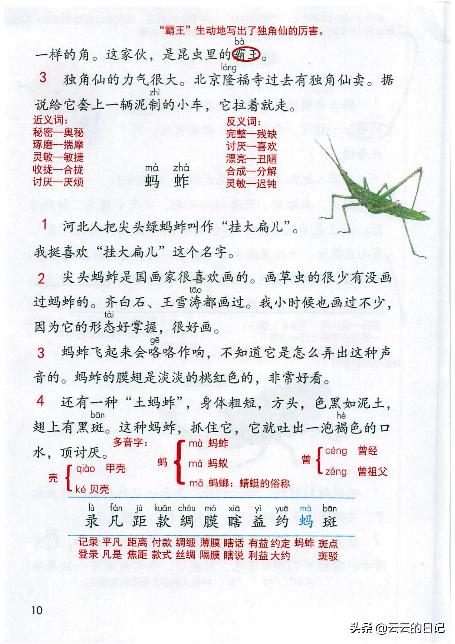 三年级下册语文笔记完整版讲解,三年级下册语文第一课注释