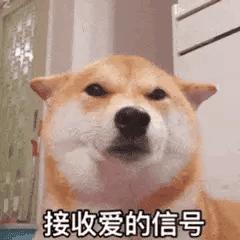 虐渣大女主爽文推荐,打脸虐渣爽文推荐