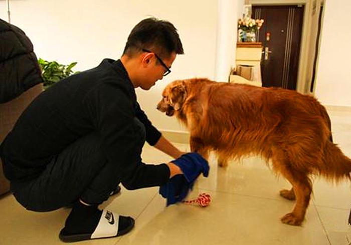 特殊时期如何做好宠物清洁工作？这两点最重要，但仍需注意安全