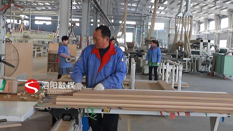 泗阳特色产业发展,泗阳支柱产业