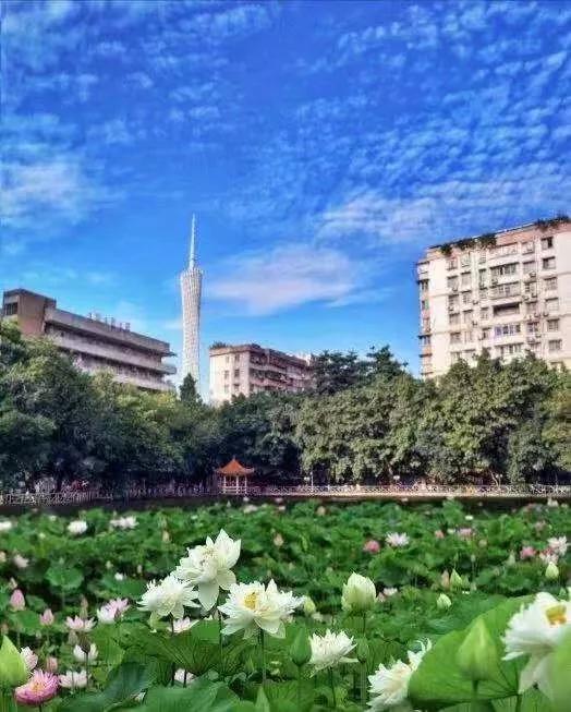 广东第二师范学院数学系,广东第二师范学院分数线