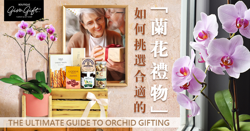 花市里裸根的兰花怎么挑选,挑选兰花苗的正确方法