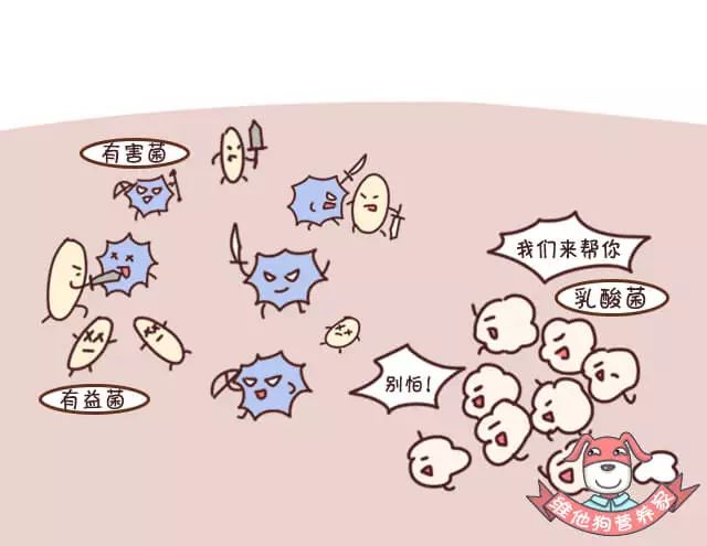 出远门就便秘怎么回事,突然之间便秘失眠
