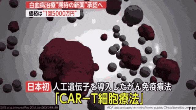 日本正式攻克白血病！出国就医成为新趋势