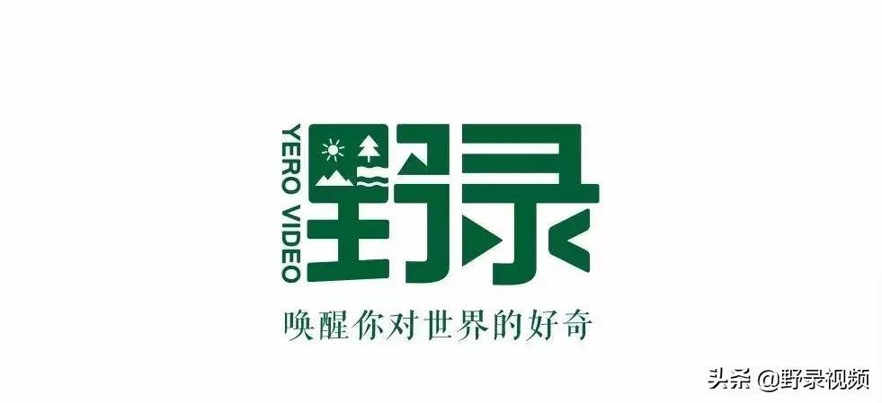 春天来了，这个四月请开启小情侣打卡模式，单身狗们千万不要点