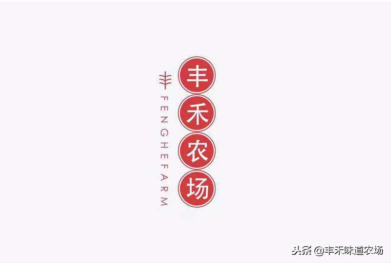 如何挑选多汁薄皮的橙子,怎么挑选又大又甜的橙子