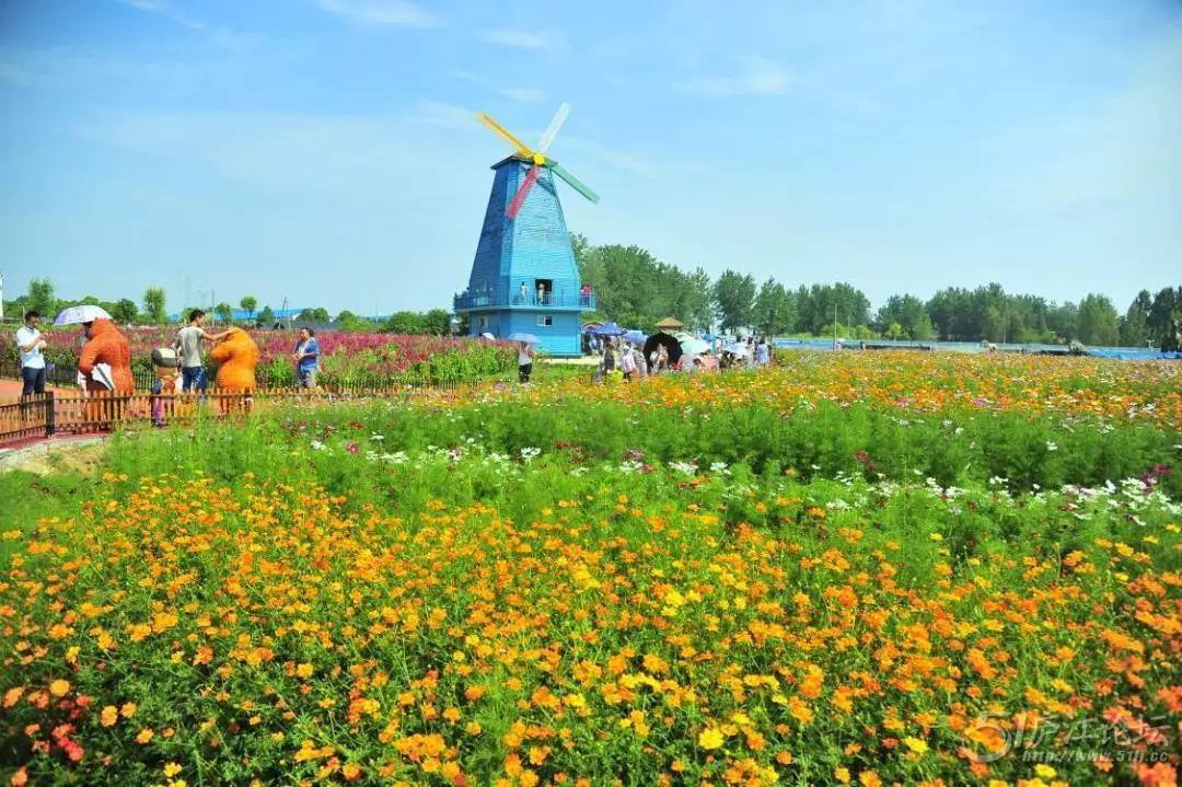 【春游庐江攻略】春暖花开庐江邀您共赴一场灼灼芳华之旅！