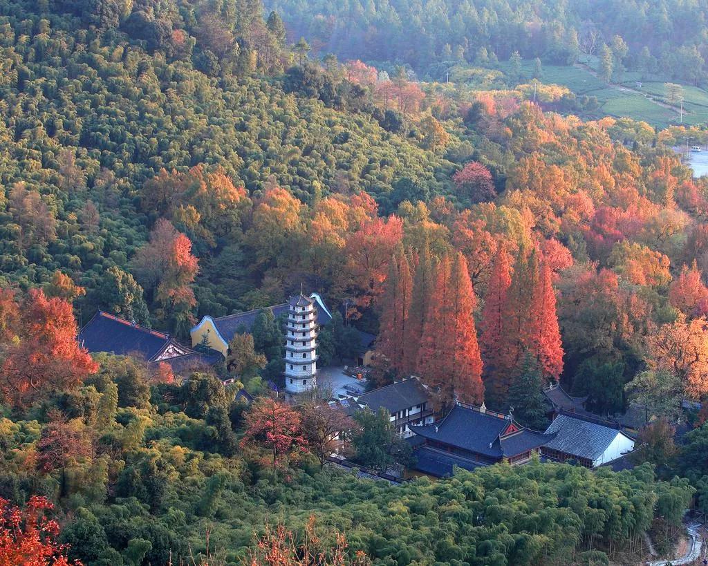 杭州西湖桃花源四合院,绿城桃花源山居合院在哪里