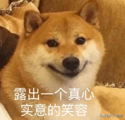 不小心踩到小狗了狗就躲起来了,不小心踩到狗狗然后咬我