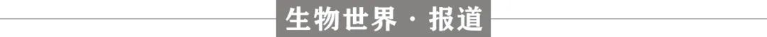因致癌风险，蓝鸟生物又一个慢病毒基因治疗临床试验停止