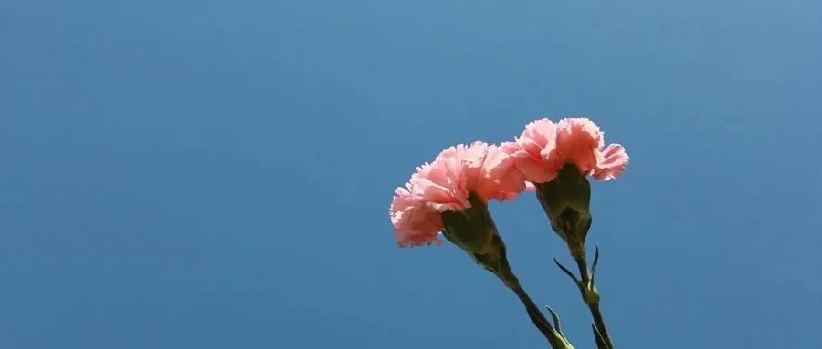 宫颈癌复发最明显的症状是什么,宫颈癌复发的六大征兆