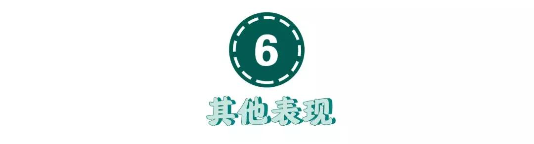 猫咪狗狗骨折了怎么办？扒一扒宠物“骨子里”的那些事