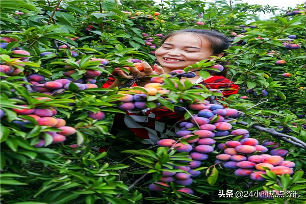 丹东凤凰山,醉美凤凰山
