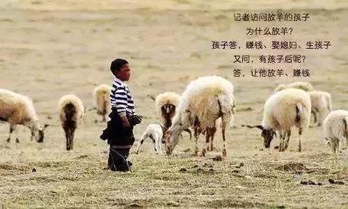 妹妹被人杀害哥哥强势复仇印度,妹妹被害死哥哥复仇电影