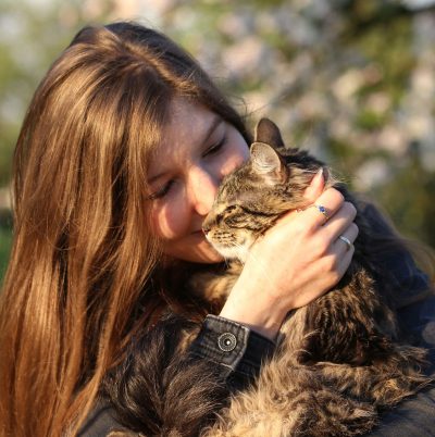 猫咪不愿意接近人怎么办,猫咪不想让主人抱怎么办