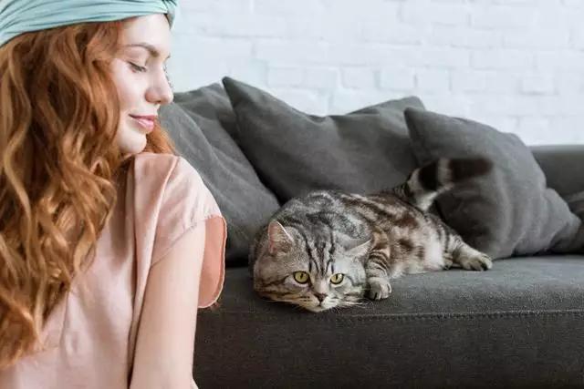 猫咪犯错也不能打这3个地方,无论你有多生气都不要打你家的猫