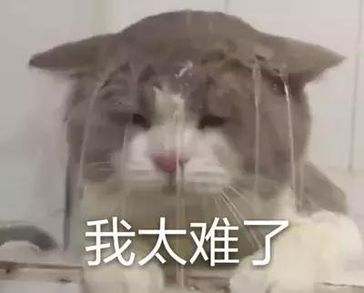 南昌小学学费便宜,小学学费为什么这么贵