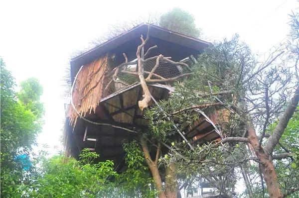 桂林周边短途自驾游农庄住宿,自驾游桂林民宿攻略