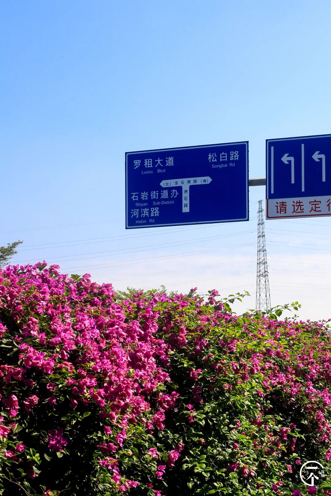 深圳“厂哥村”，女生可以百里挑一？