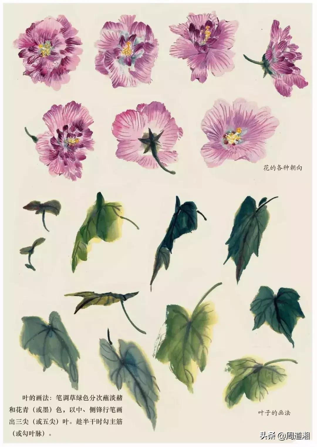 国画花卉大全教程视频,花卉小品国画图片大全