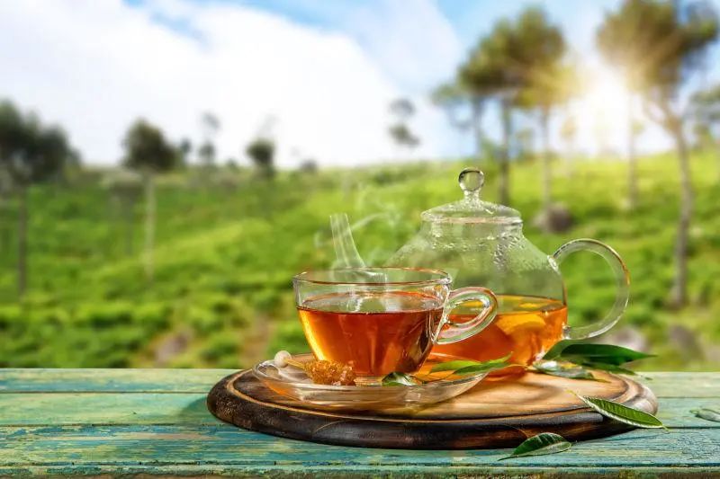 阳春三月茶香浓~查餐厅这份检“茶”结果出来啦