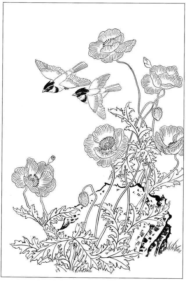 工笔花鸟白描步骤图,牡丹六尺横幅白描工笔花鸟底稿
