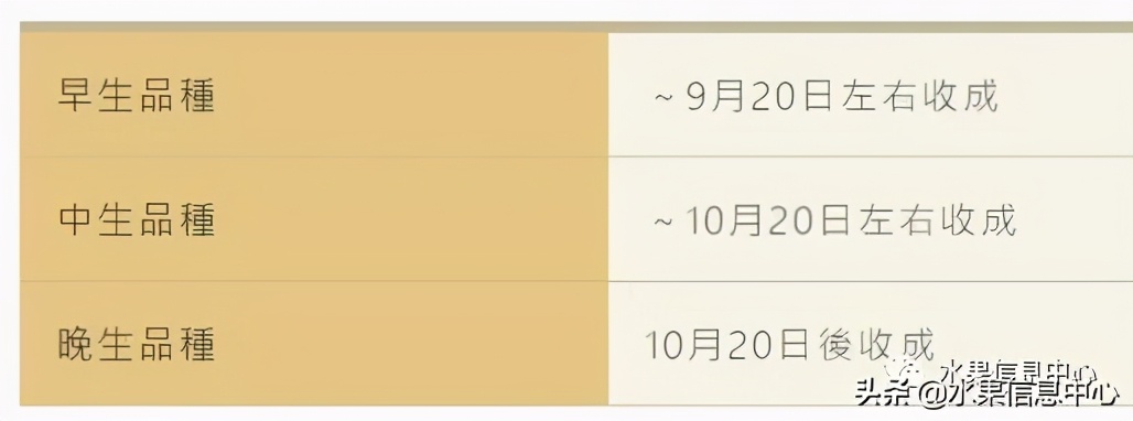 日本苹果种植现状,为什么日本苹果品质比中国的好