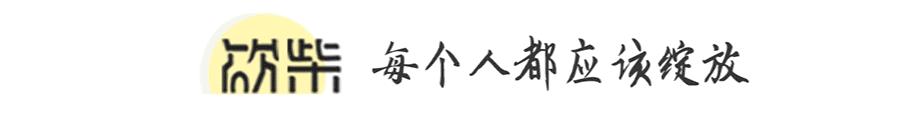 杨百万买国债赚钱,杨百万分享收益的视频