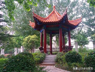 新乡市真“中”高中，每年几千人考上一本