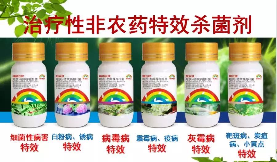巴斯夫锐收果香杀菌剂作用,农药杀菌剂分类与杀菌作用
