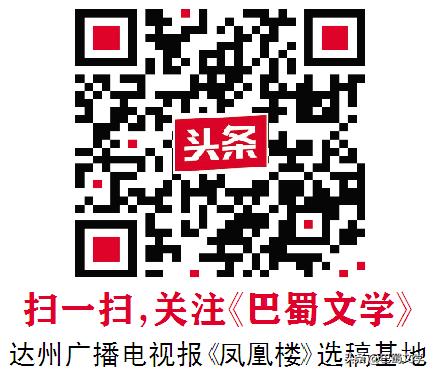 夏天的烈日散文,散文夏日盛开的花